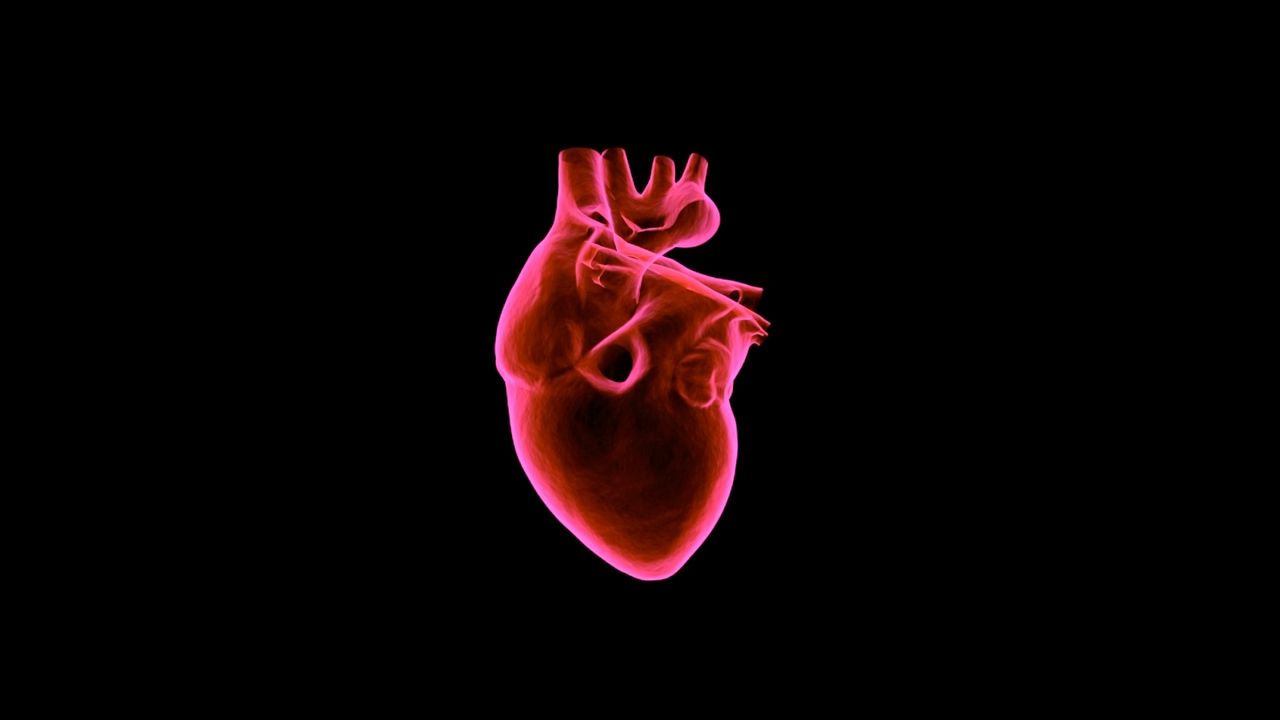 Wallpaper heart, art, muscular organ, dark background, red