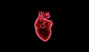 Preview wallpaper heart, art, muscular organ, dark background, red