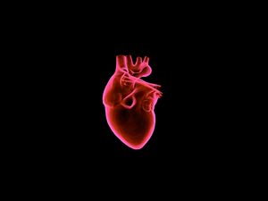 Preview wallpaper heart, art, muscular organ, dark background, red