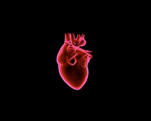 Preview wallpaper heart, art, muscular organ, dark background, red