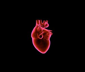 Preview wallpaper heart, art, muscular organ, dark background, red