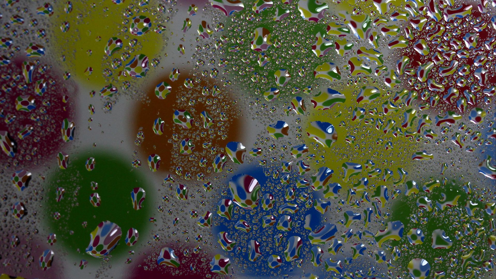 Download wallpaper 1920x1080 drops, glass, surface, circles full hd