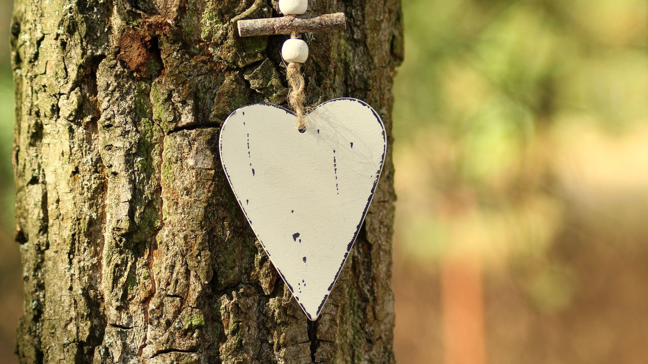 Wallpaper heart, bark, tree, love