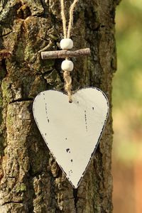 Preview wallpaper heart, bark, tree, love