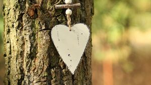 Preview wallpaper heart, bark, tree, love