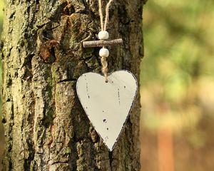 Preview wallpaper heart, bark, tree, love