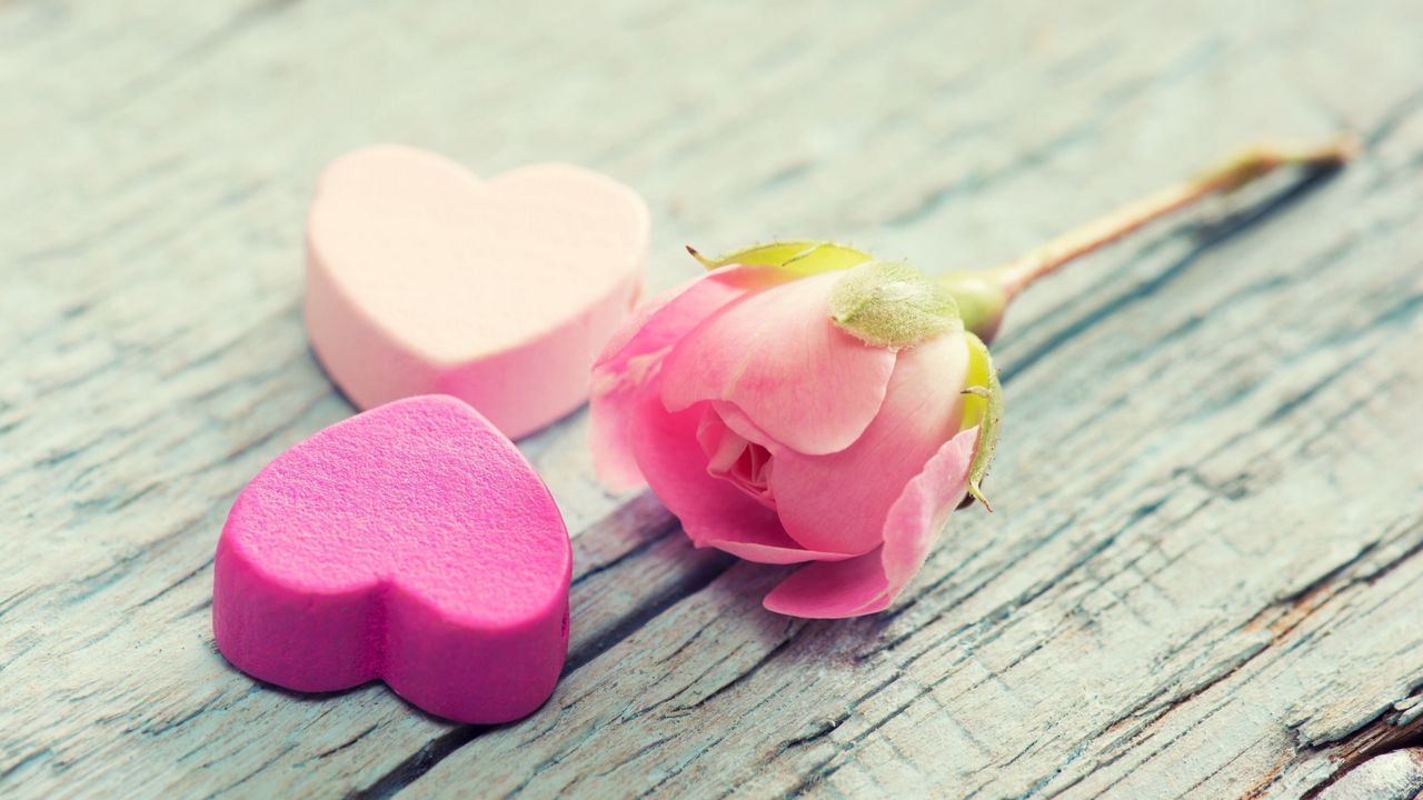 Wallpaper heart, flower, tenderness, pink