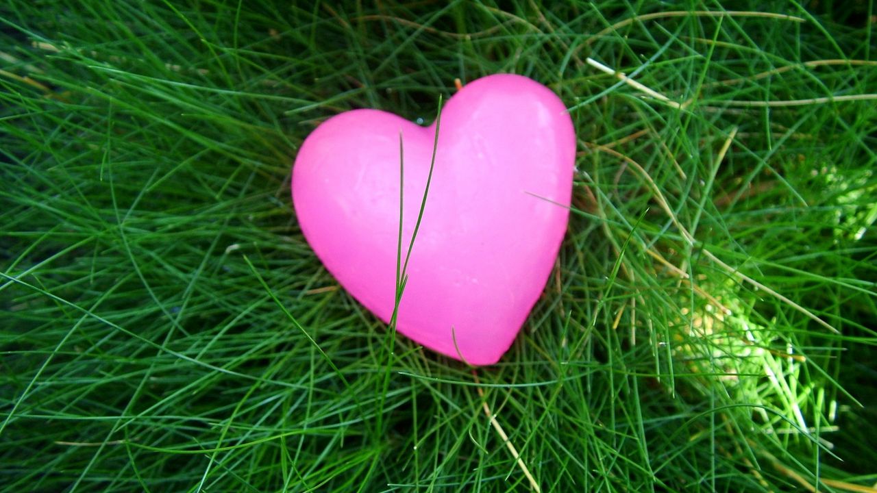 Wallpaper heart, grass, bright, colorful
