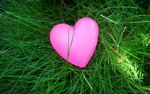 Preview wallpaper heart, grass, bright, colorful