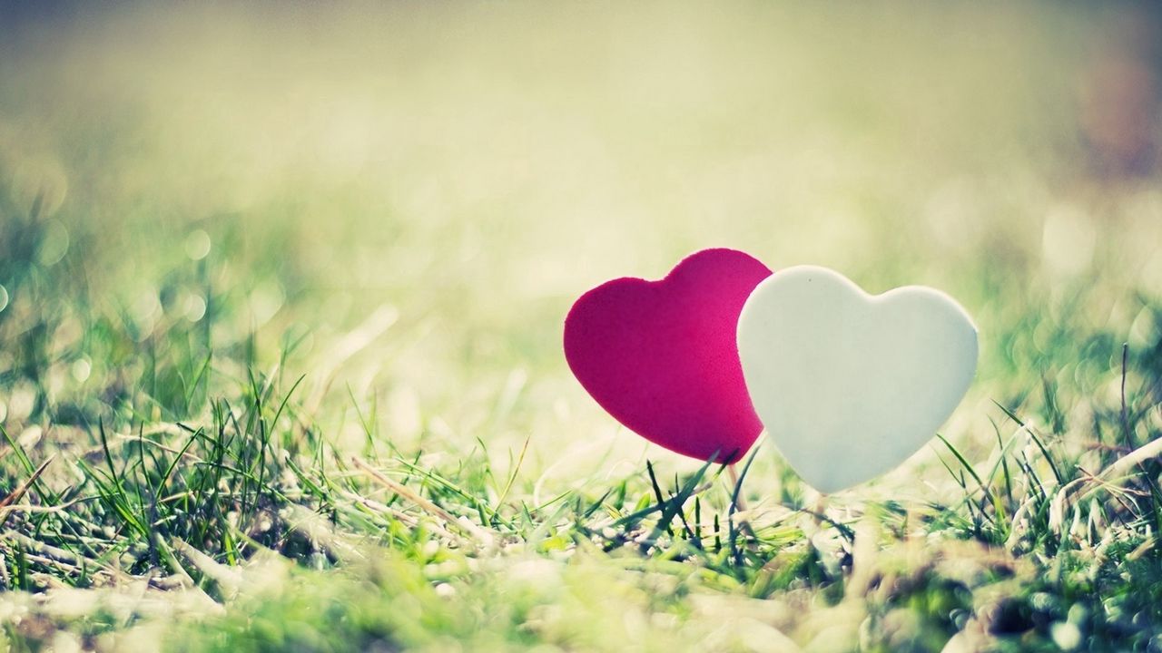 Wallpaper heart, grass, couple, close-up
