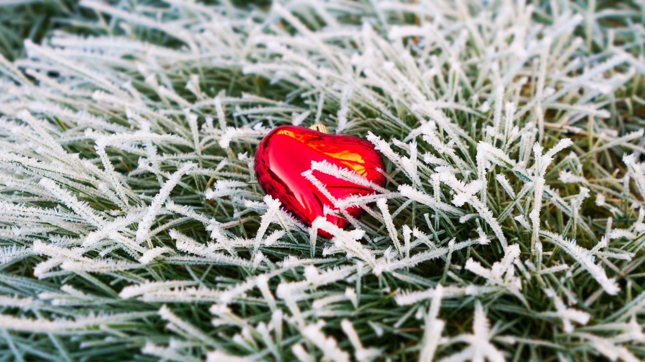 Wallpaper heart, grass, frost, love