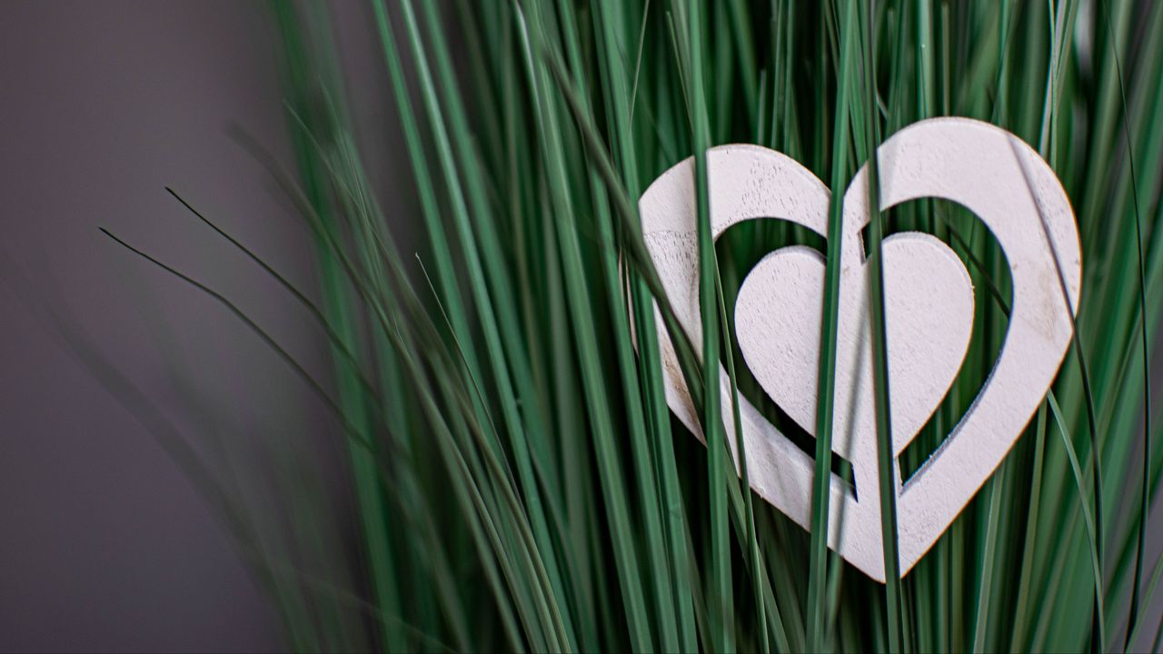 Wallpaper heart, grass, love