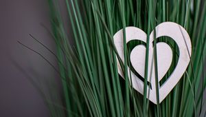 Preview wallpaper heart, grass, love