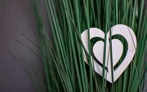 Preview wallpaper heart, grass, love