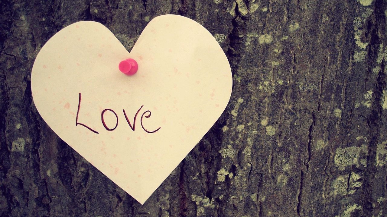 Wallpaper heart, love, tree, feeling