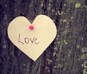 Preview wallpaper heart, love, tree, feeling