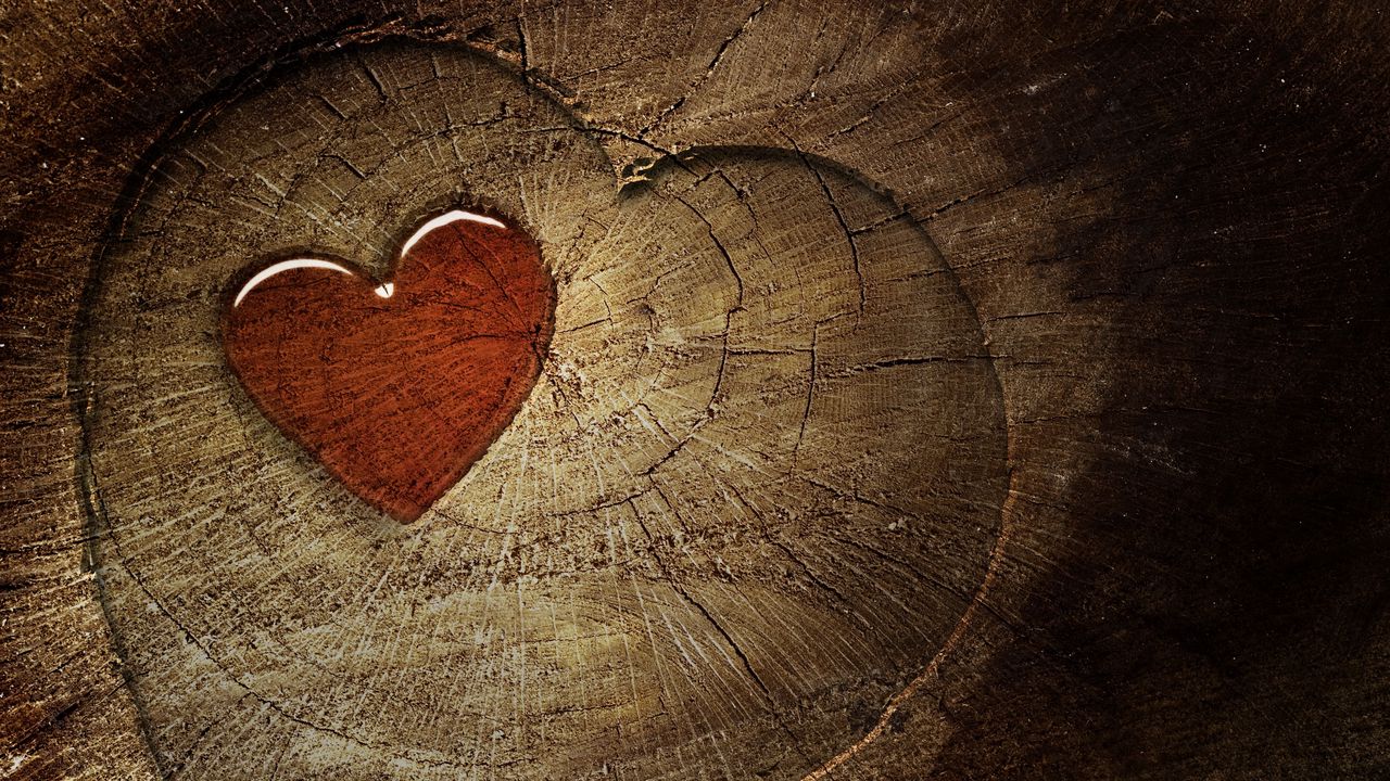 Wallpaper heart, love, tree stump, tree