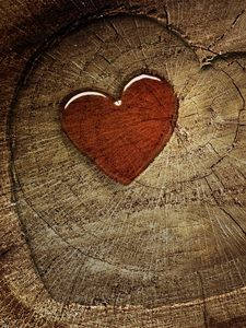 Preview wallpaper heart, love, tree stump, tree