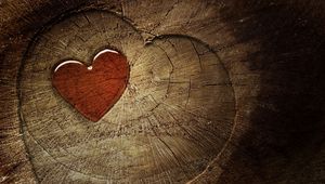 Preview wallpaper heart, love, tree stump, tree