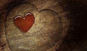 Preview wallpaper heart, love, tree stump, tree