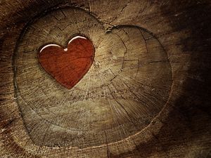 Preview wallpaper heart, love, tree stump, tree