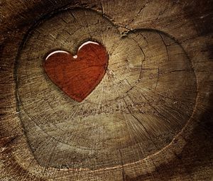 Preview wallpaper heart, love, tree stump, tree