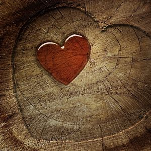 Preview wallpaper heart, love, tree stump, tree