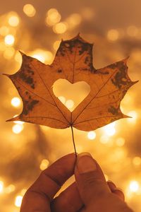 Preview wallpaper heart, maple, hand, autumn, macro