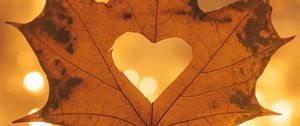 Preview wallpaper heart, maple, hand, autumn, macro
