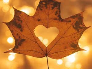 Preview wallpaper heart, maple, hand, autumn, macro