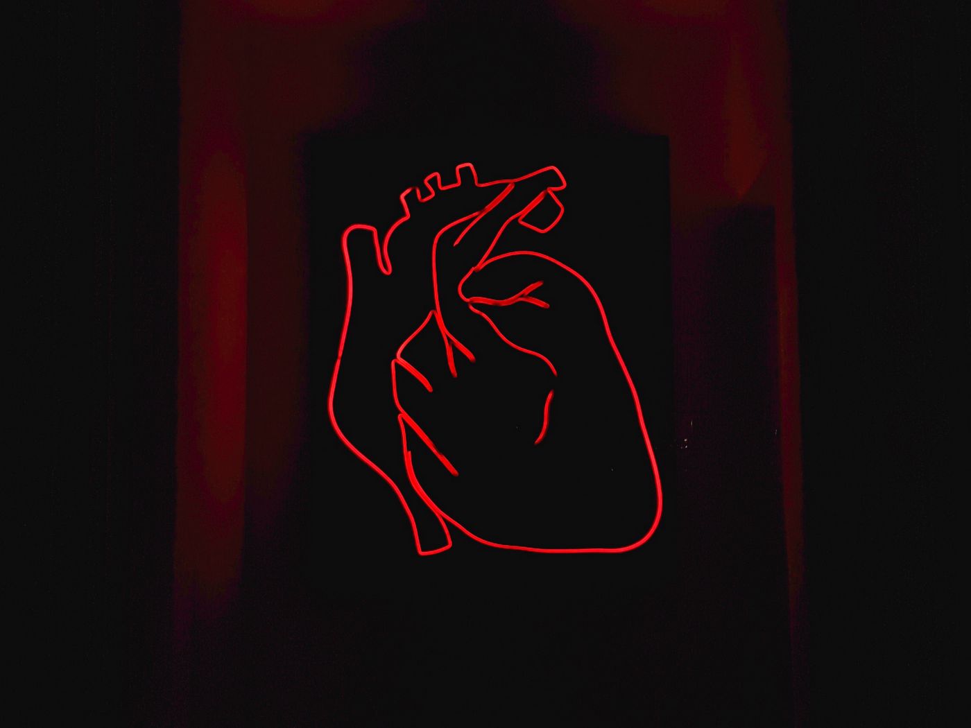 Free HD Heart Bearting Live Wallpaper APK Download For Android  GetJar