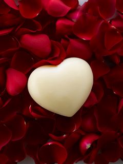 Download wallpaper 240x320 heart, petals, rose old mobile, cell phone,  smartphone hd background