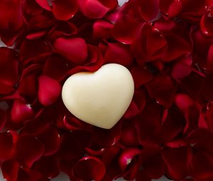 Preview wallpaper heart, petals, rose