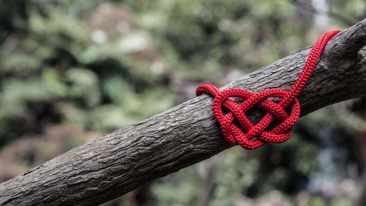 Wallpaper heart, rope, spelled, tree