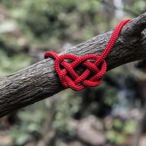 Preview wallpaper heart, rope, spelled, tree