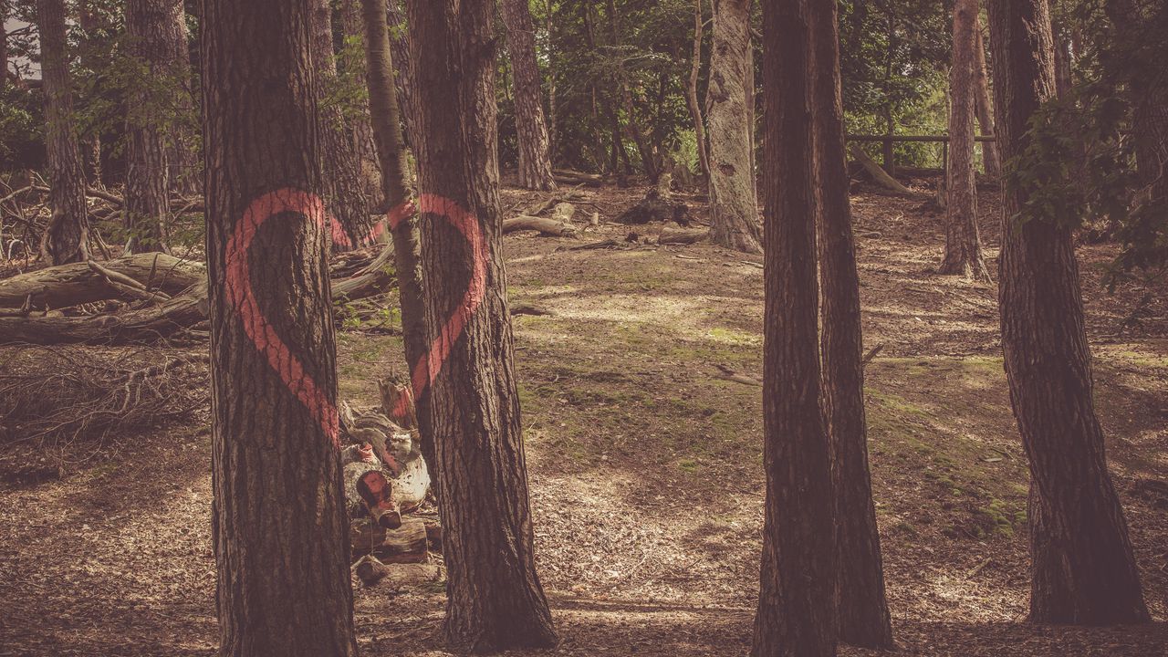 Wallpaper heart, trees, paint, romance