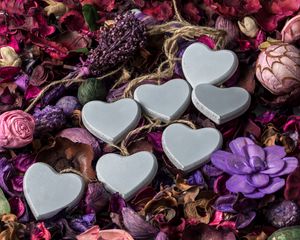 Preview wallpaper hearts, flowers, herbarium