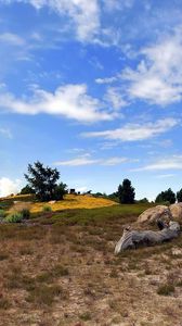 Preview wallpaper heathland, sky, grass, faded, bushes, clearly