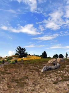 Preview wallpaper heathland, sky, grass, faded, bushes, clearly