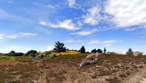 Preview wallpaper heathland, sky, grass, faded, bushes, clearly