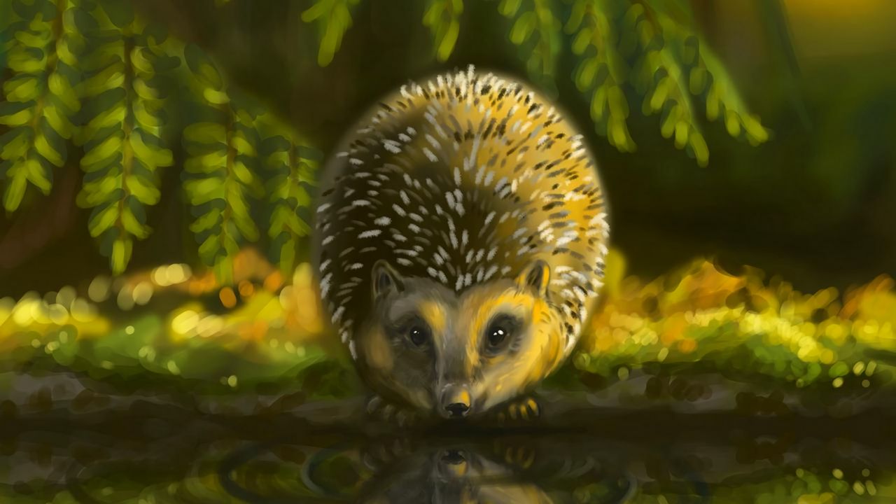 Wallpaper hedgehog, animal, cute, art
