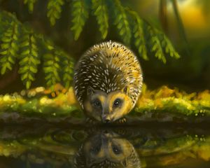 Preview wallpaper hedgehog, animal, cute, art