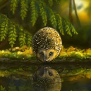 Preview wallpaper hedgehog, animal, cute, art