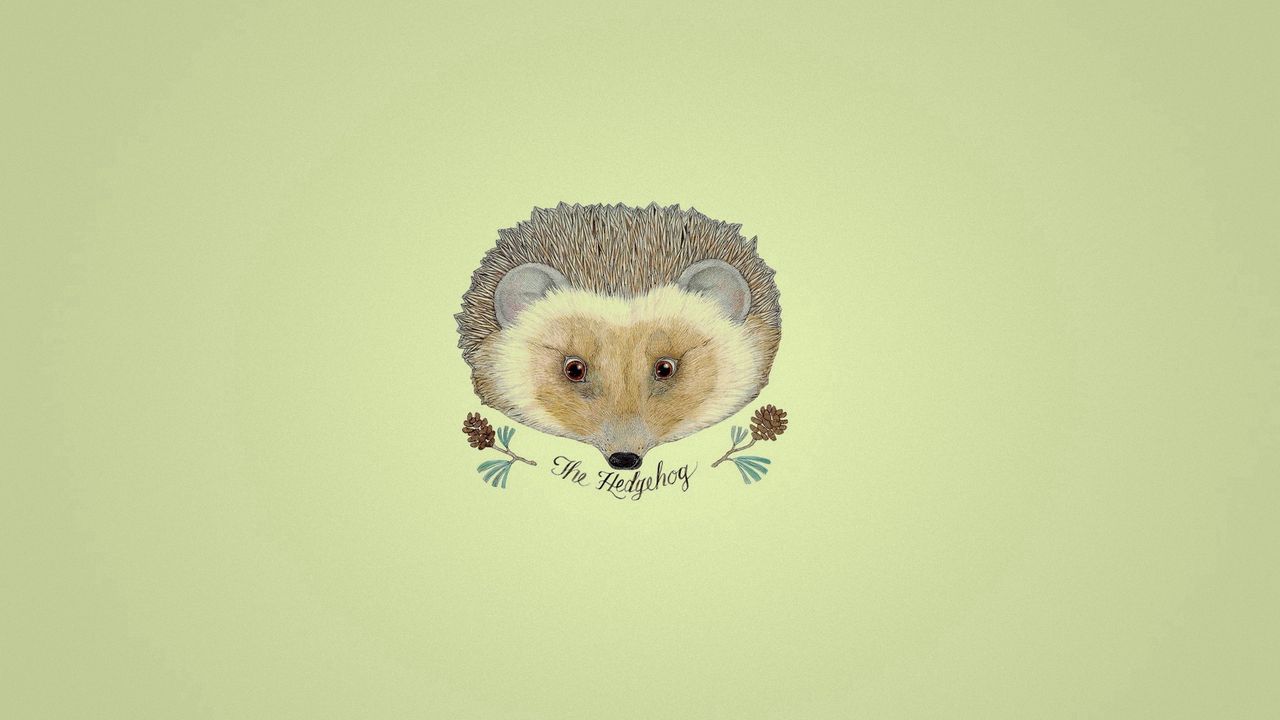 Wallpaper hedgehog, drawing, flowers