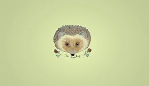 Preview wallpaper hedgehog, drawing, flowers