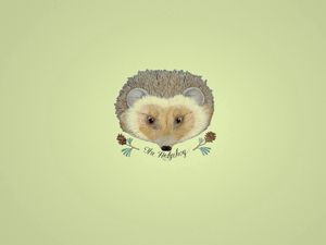 Preview wallpaper hedgehog, drawing, flowers