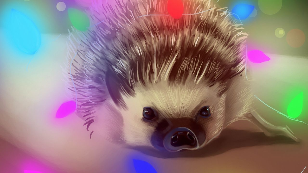 Wallpaper hedgehog, garland, art, glare, colorful