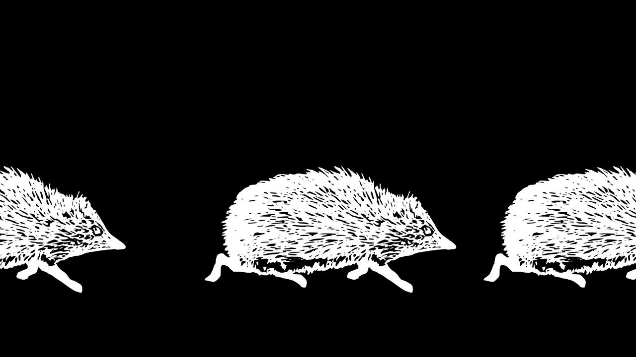 Wallpaper hedgehogs, art, bw, vector