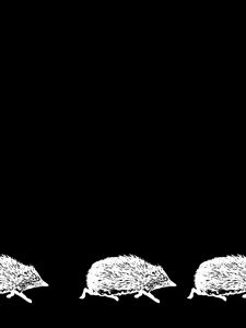 Preview wallpaper hedgehogs, art, bw, vector