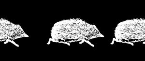 Preview wallpaper hedgehogs, art, bw, vector